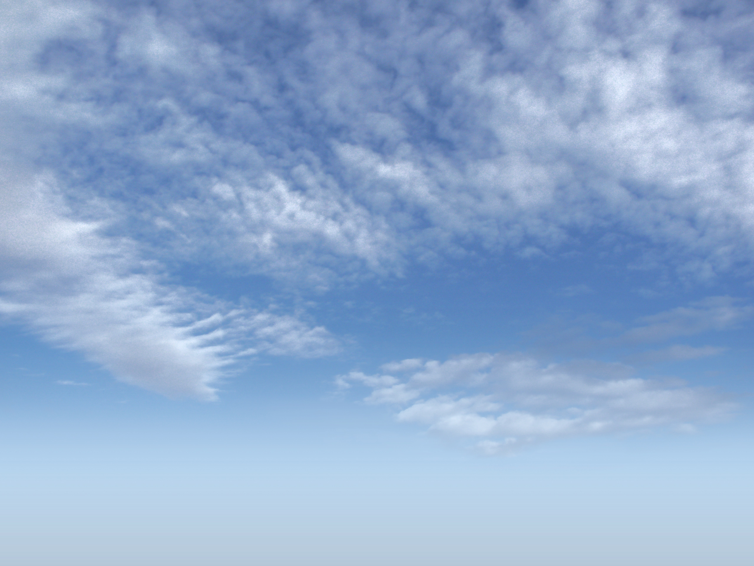 タイトルタイトルタイトルタイトルタイトル0113